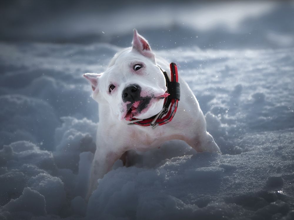 Photograph by Nephotograph