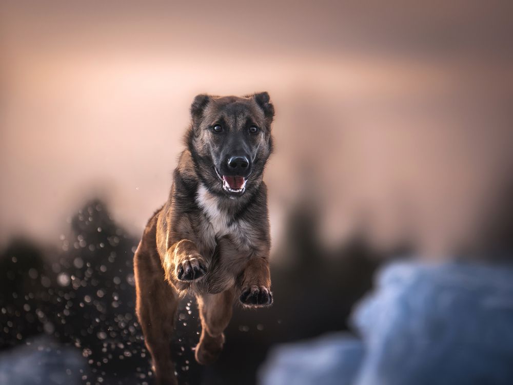 Photograph by Nephotograph