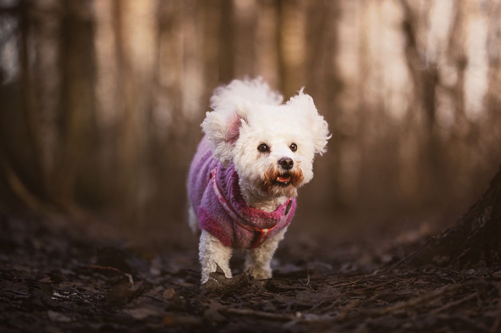 Photograph by Dmitry Ishniyazov