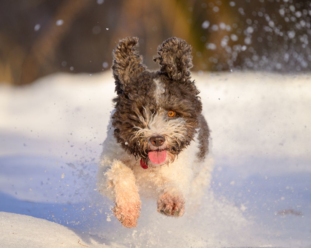 Photograph by Dmitry Ishniyazov