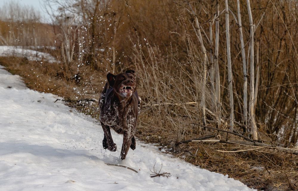 Photograph by Алексей Широбоков