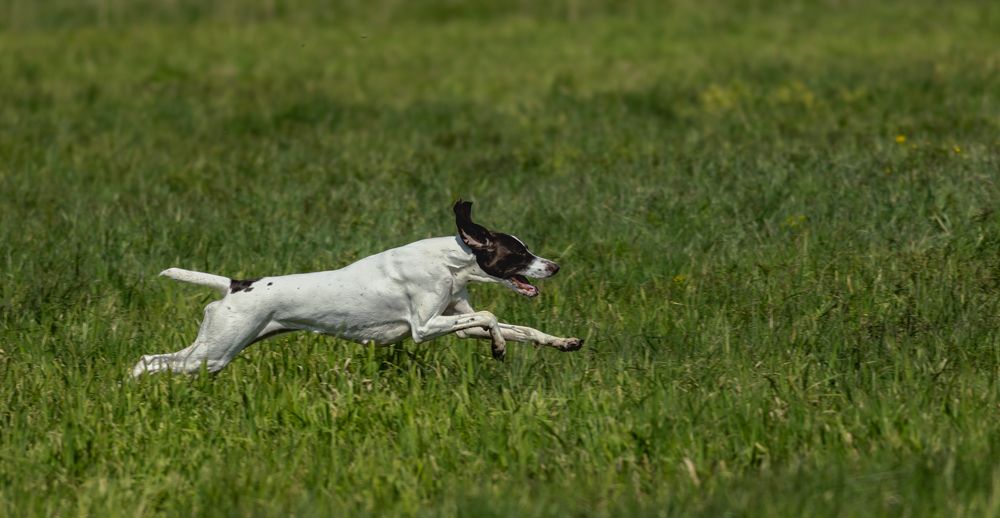 Photograph by Алексей Широбоков