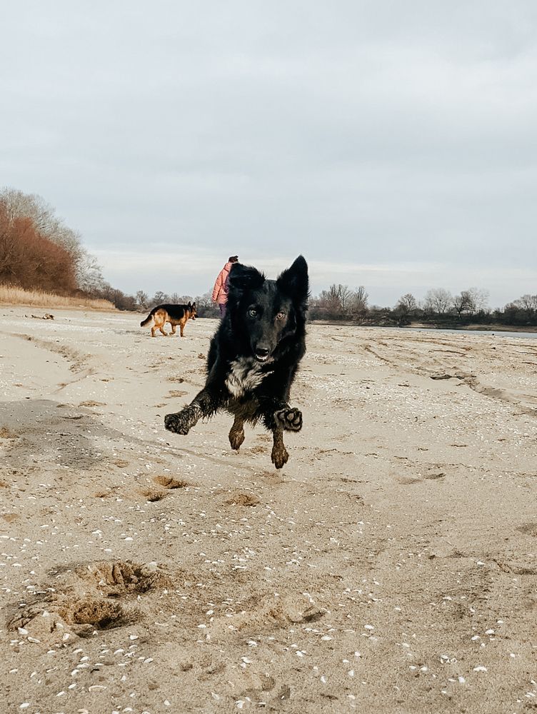 Photograph by Анастасия Лидяева