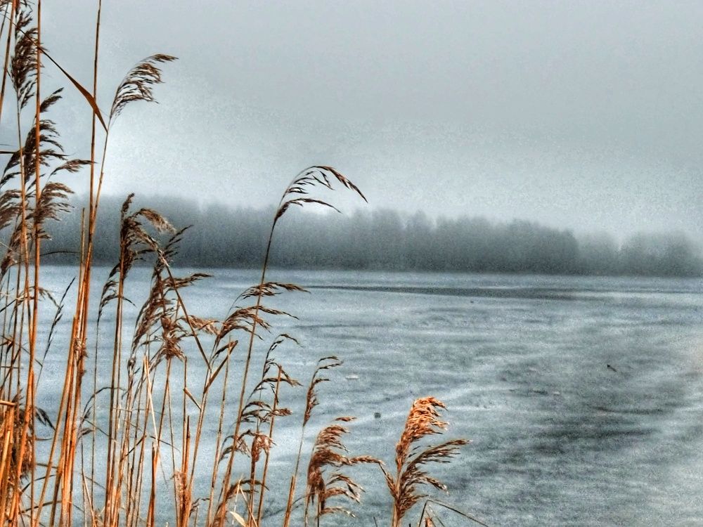 Photograph by Halina Basyanok