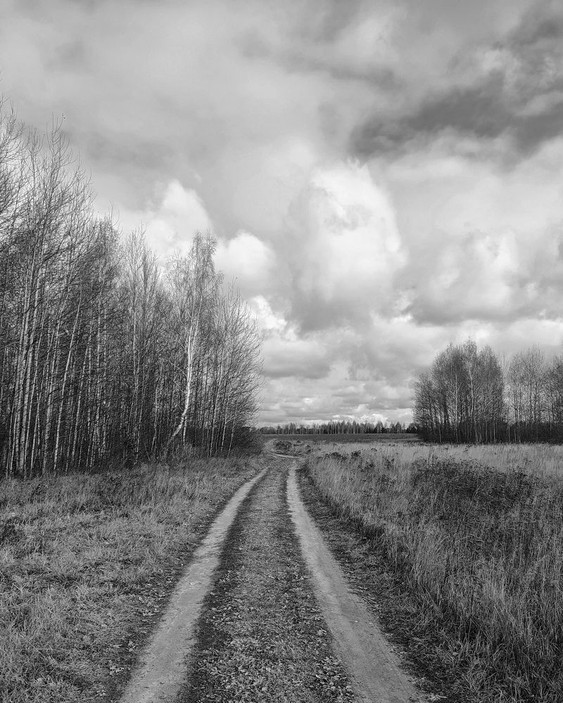 Photograph by Алия Латыйпова