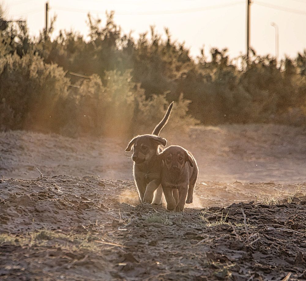 Photograph by Юлия