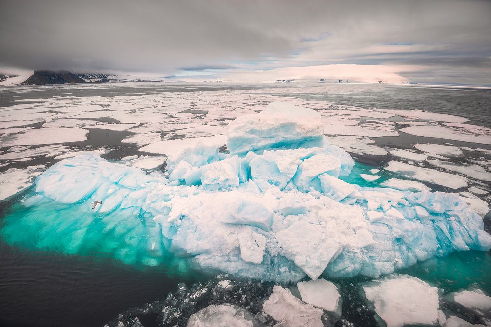 Photograph by Александр Ермолин