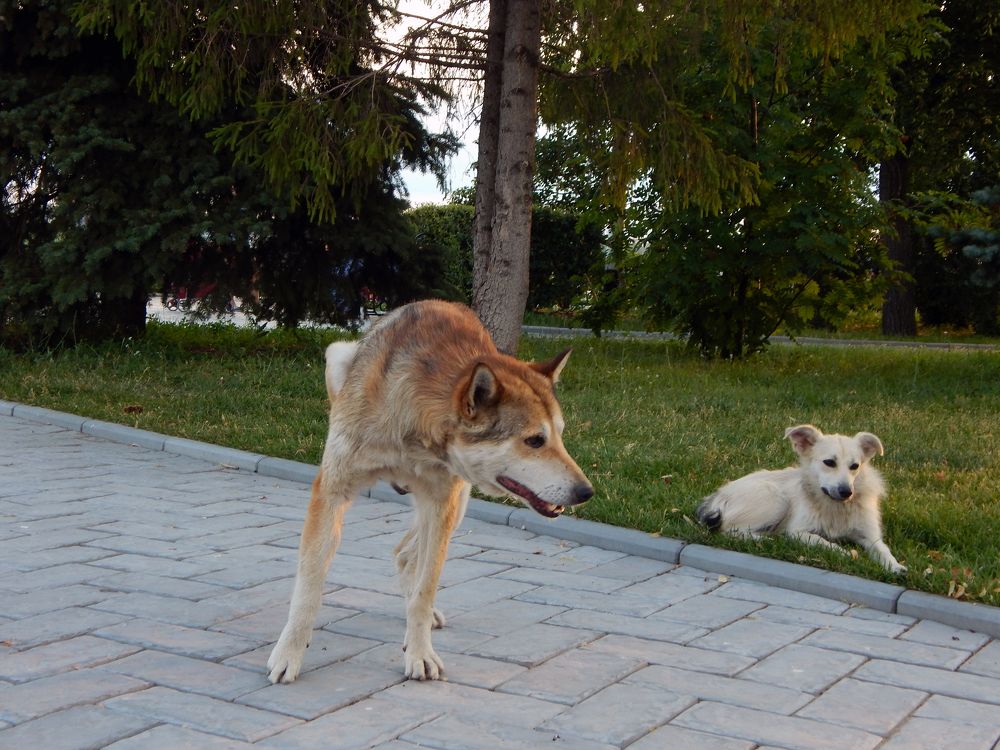 Фотография автора Валерий Цуркан