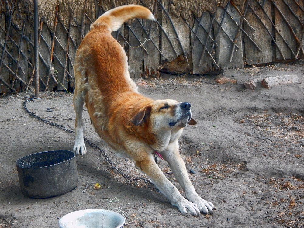 Фотография автора Валерий Цуркан