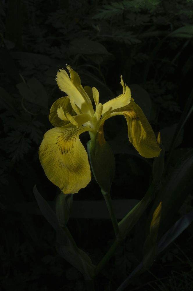 Photograph by Emilia Villalba