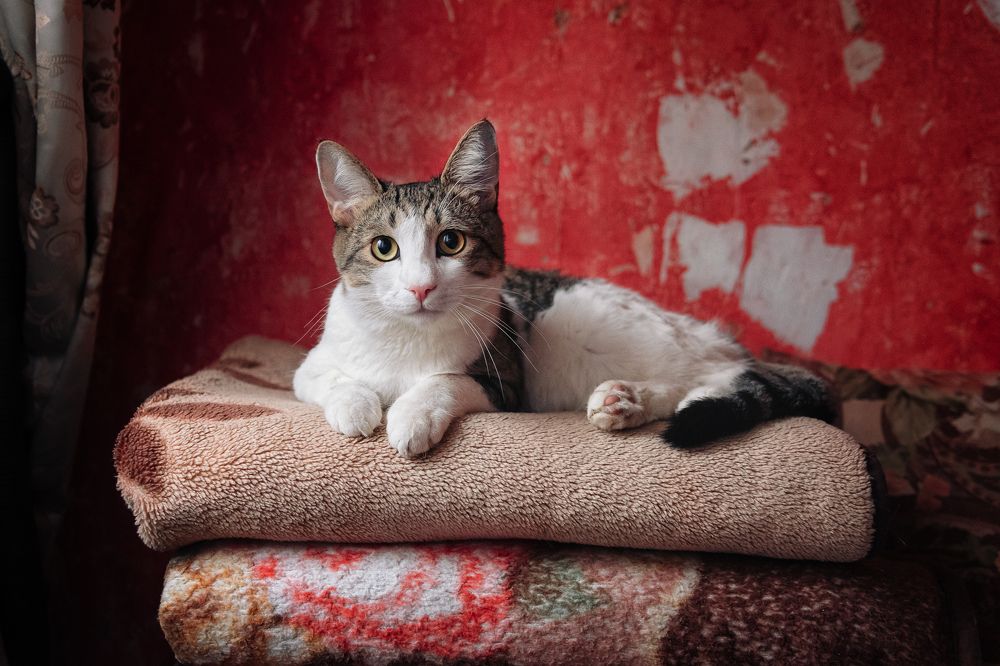 Photograph by Олег Каленин