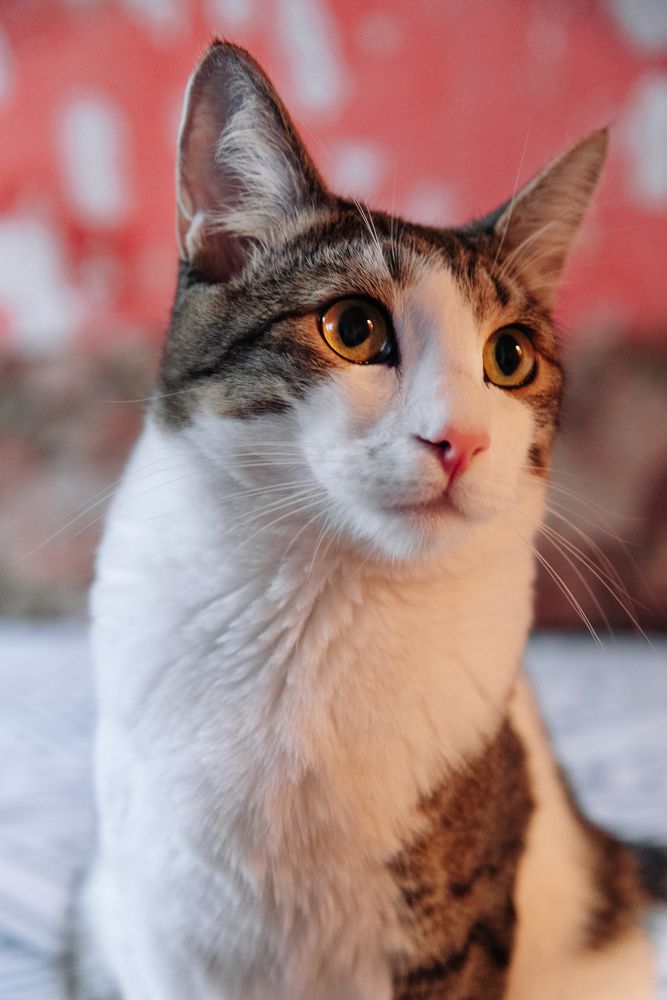 Photograph by Олег Каленин