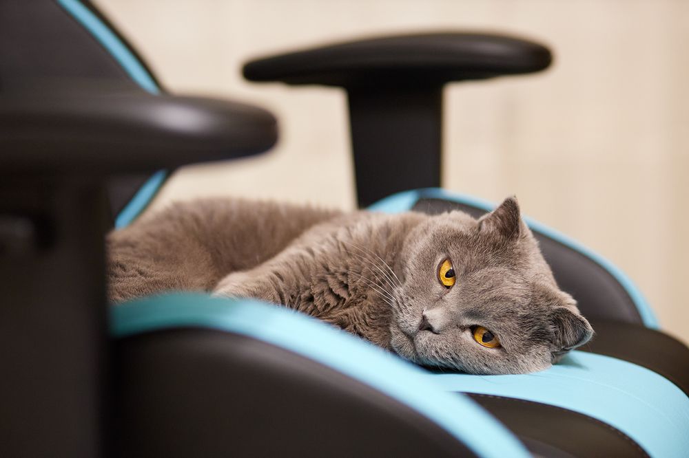 Фотография автора Дмитрий Смирнов