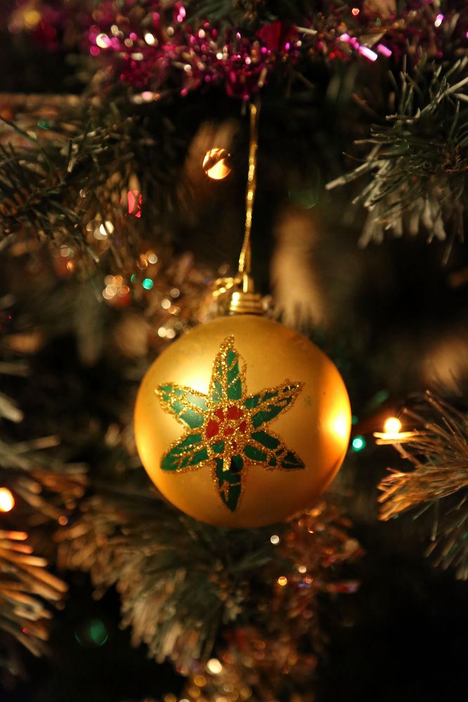 Photograph by София Лаврентьева