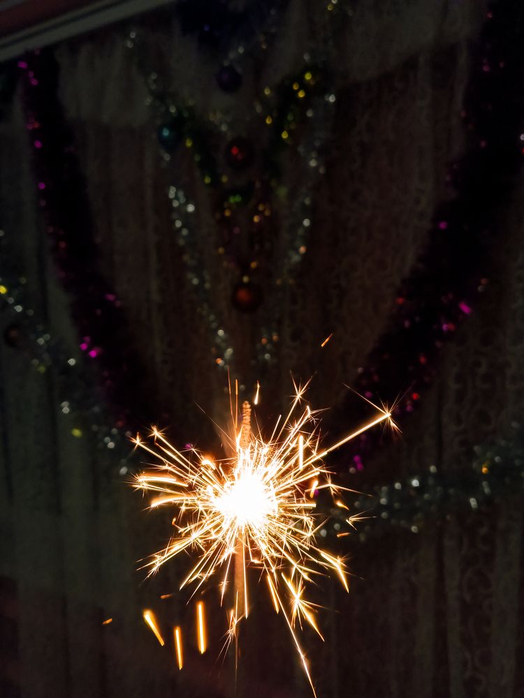 Photo #11573705