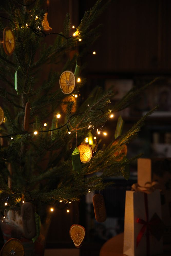 Photograph by Евфросиния Капустина