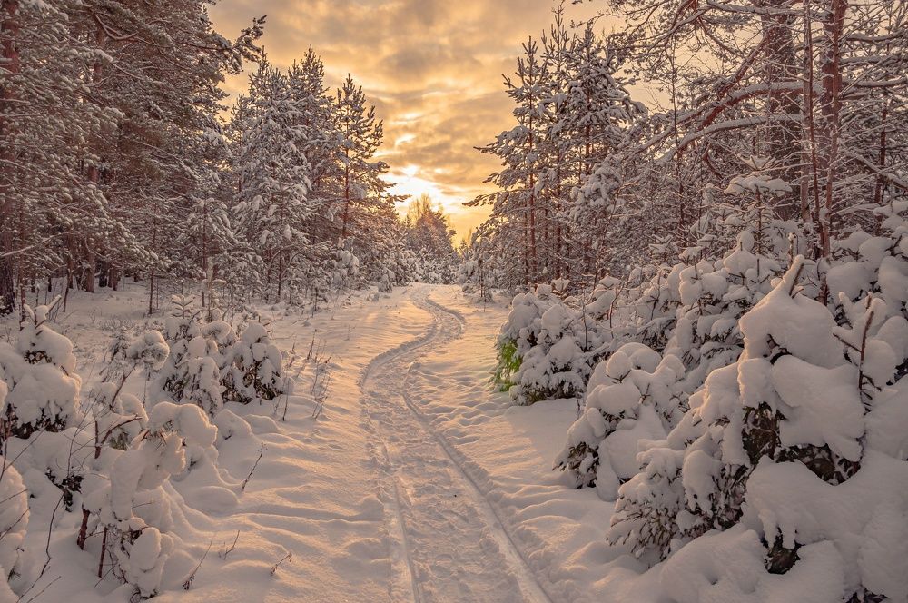 Photograph by Филатов Александр