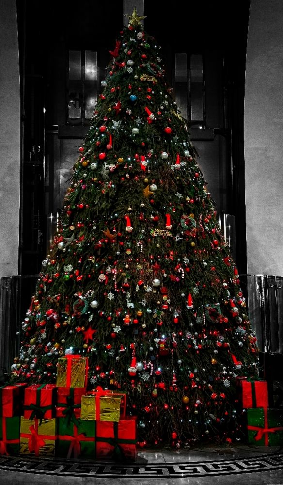 Фотография автора Mahdi Mohammadi