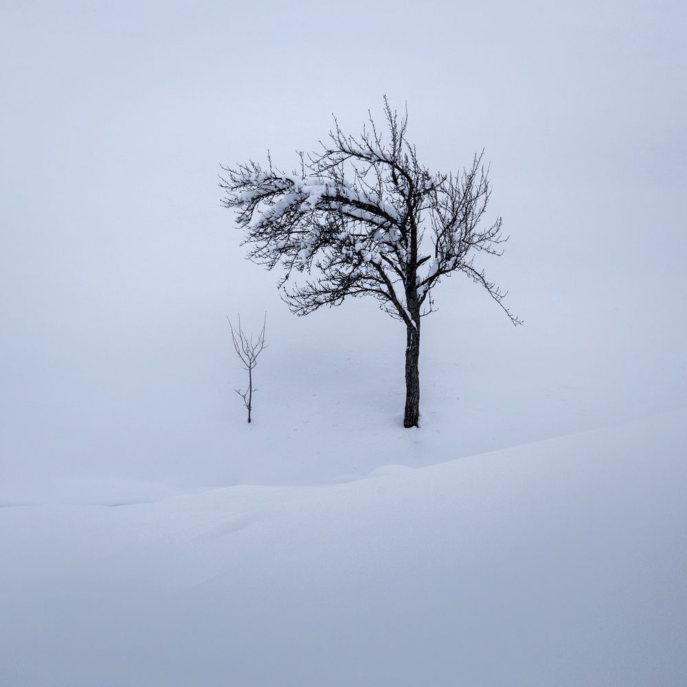 Photograph by Demir Pepic