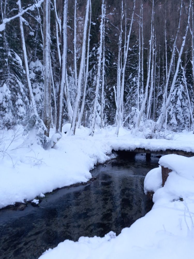 Фотография автора Елена Чернова