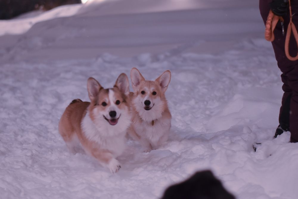 Photograph by Elvira