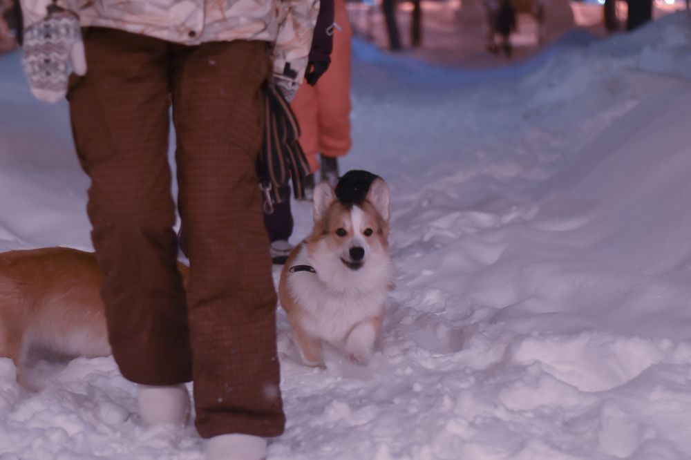 Photograph by Elvira