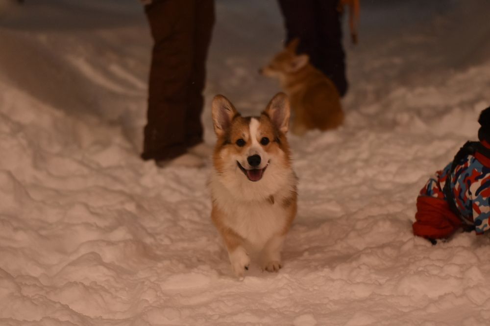 Photograph by Elvira