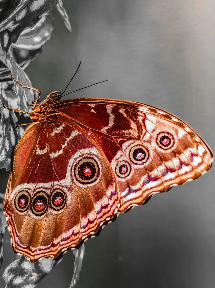 Photograph by Владислав Моисеев