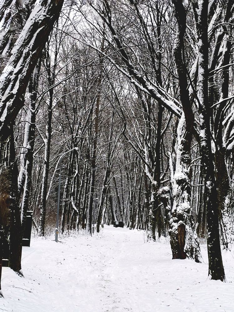 Фотография автора Ольга Каминская