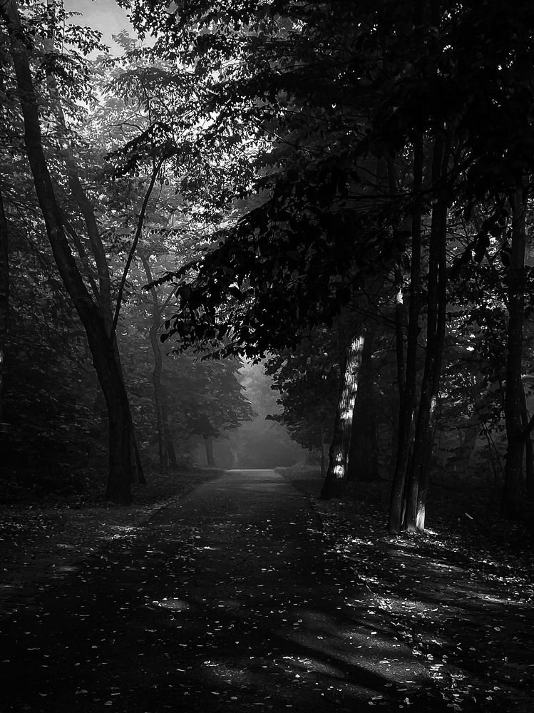 Фотография автора Ольга Каминская