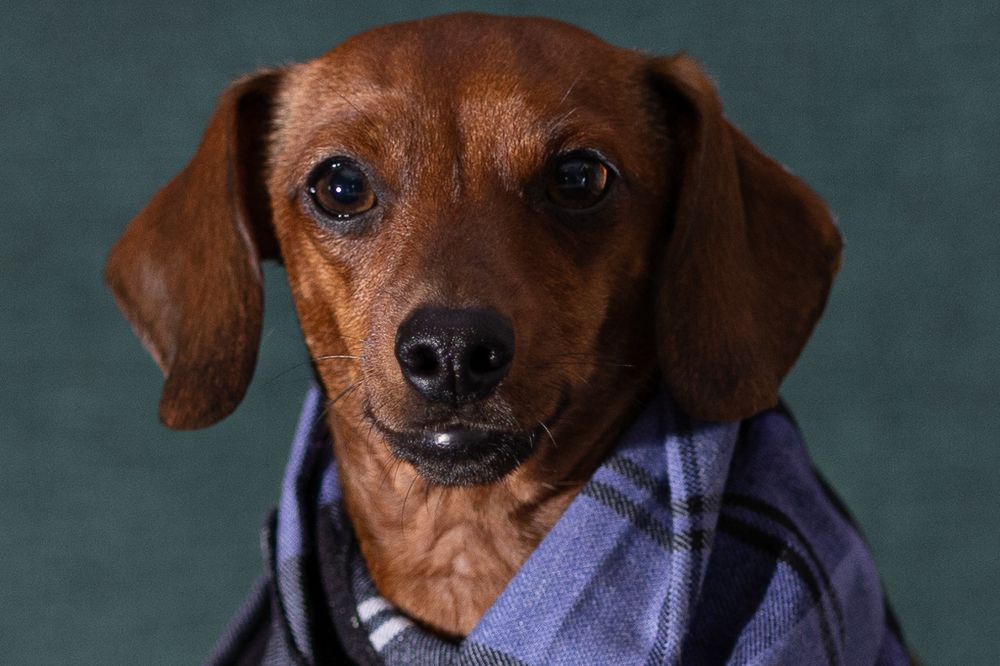 Photograph by Алла Логинова