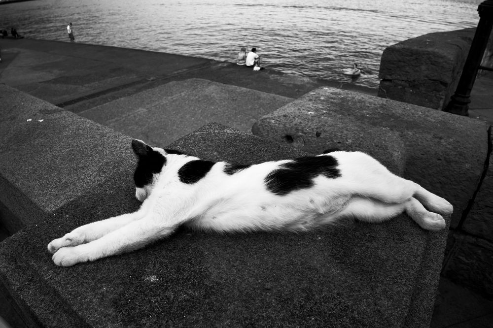 Photograph by Пиленгас Александр