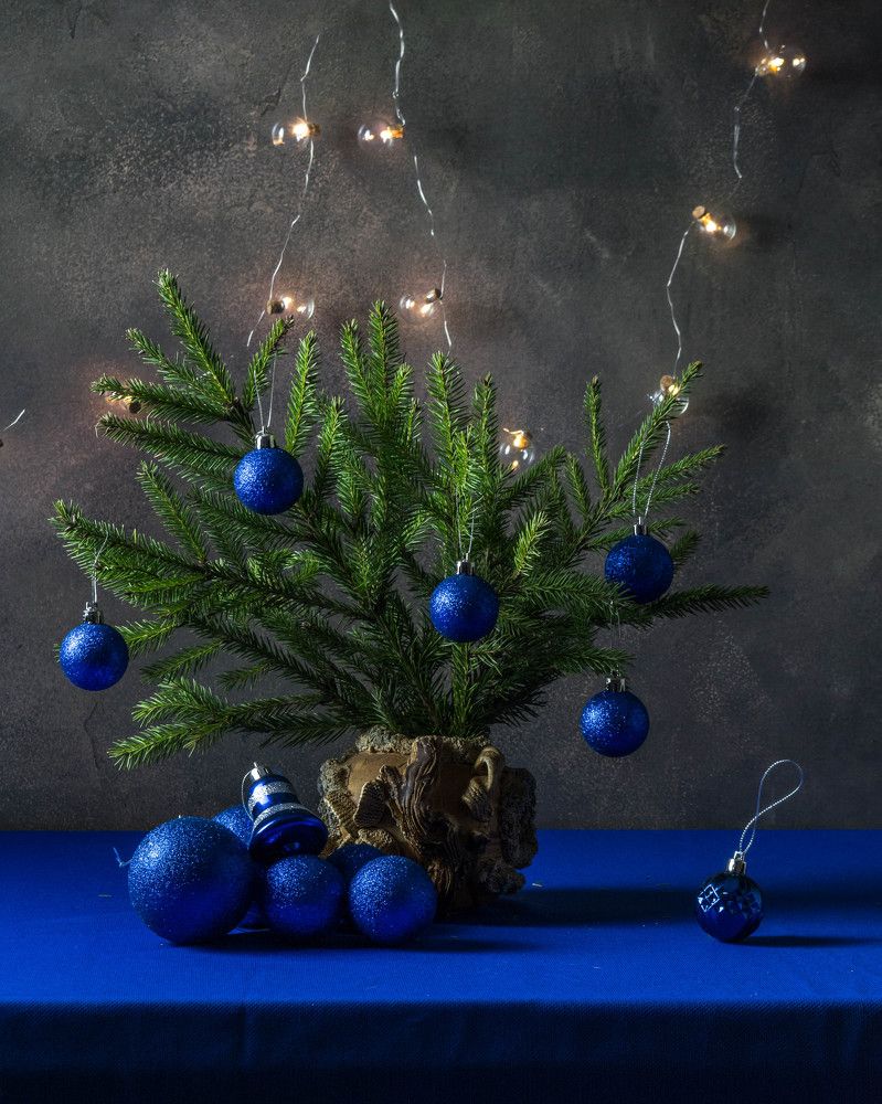 Photograph by Людмила Прибылова