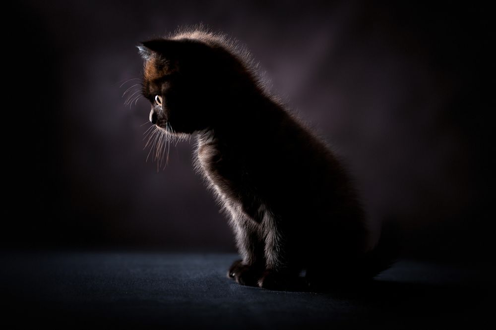 Photograph by Марина Бикеева-Сулейманова