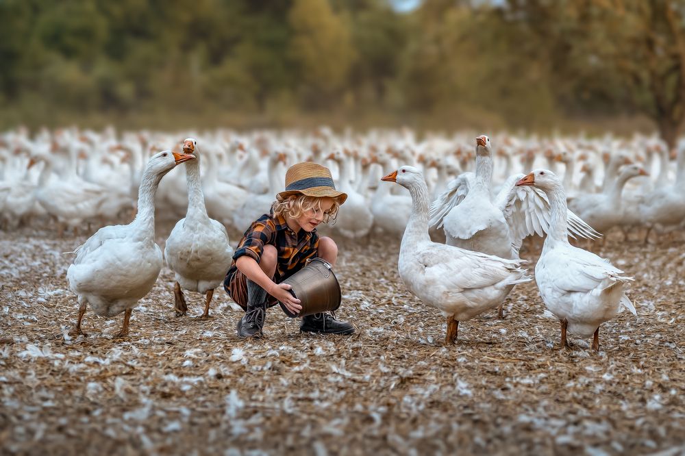 Фотография автора Kasia Kapała