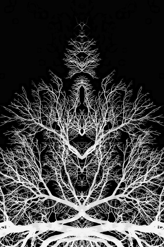 Photograph by Юлия Зырина