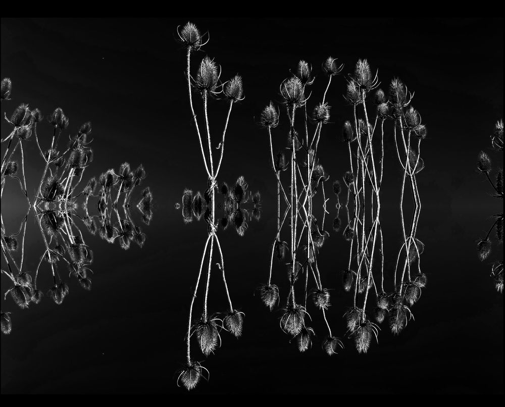 Photograph by Юлия Зырина