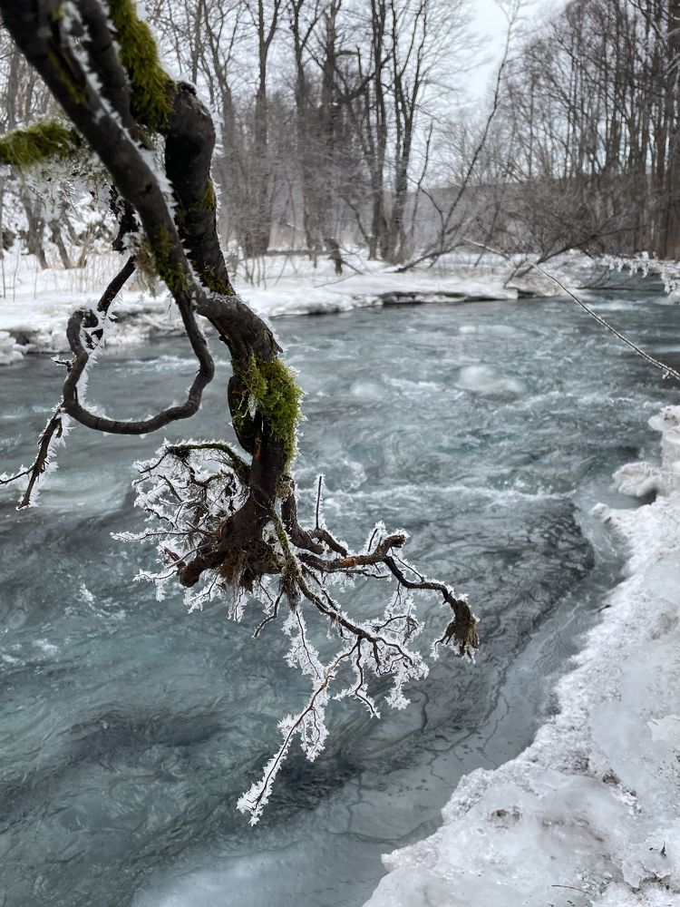 Photograph by Яна Бойко