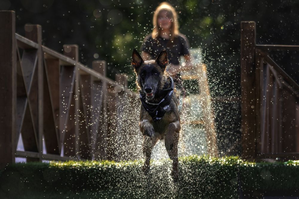 Photograph by Зубкова Юлия