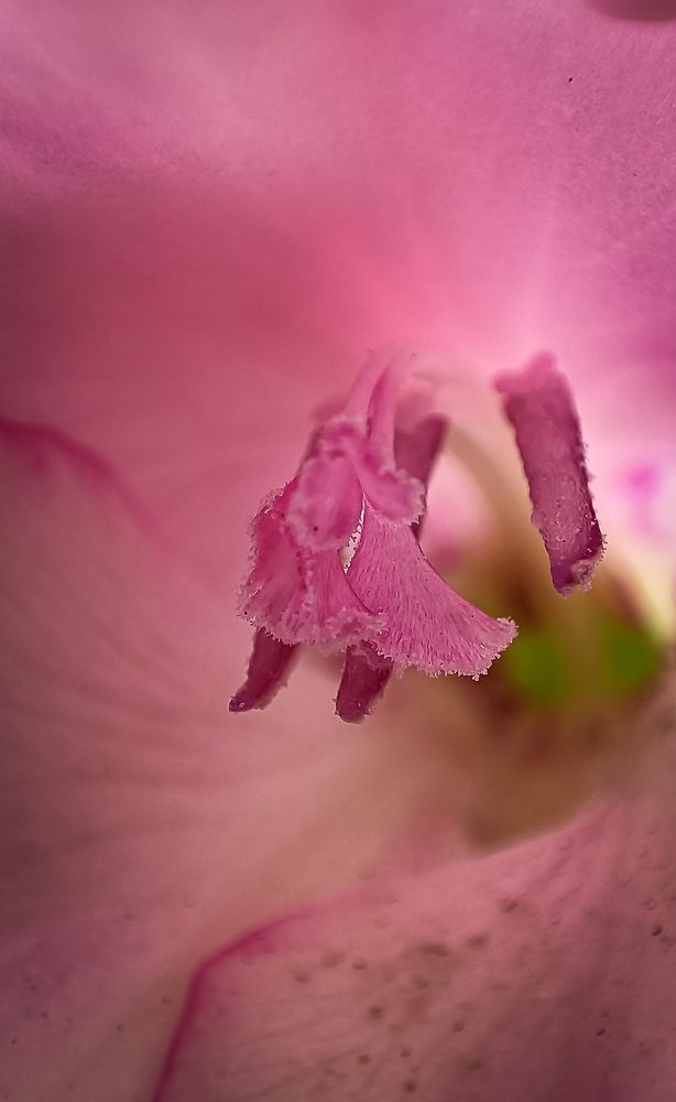 Photograph by Наташа Шибаева