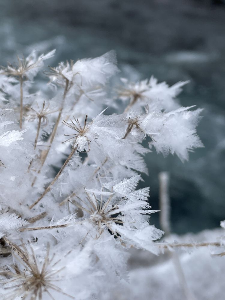 Photograph by Яна Бойко