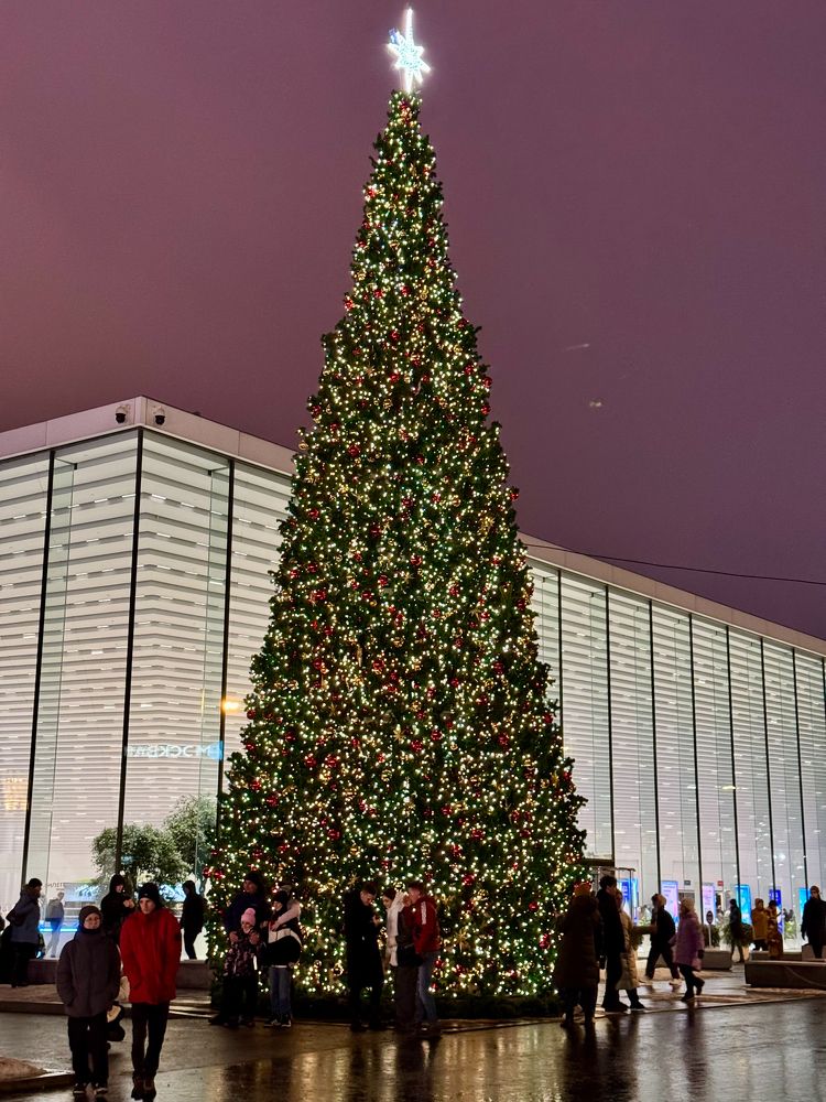 Photograph by Елена