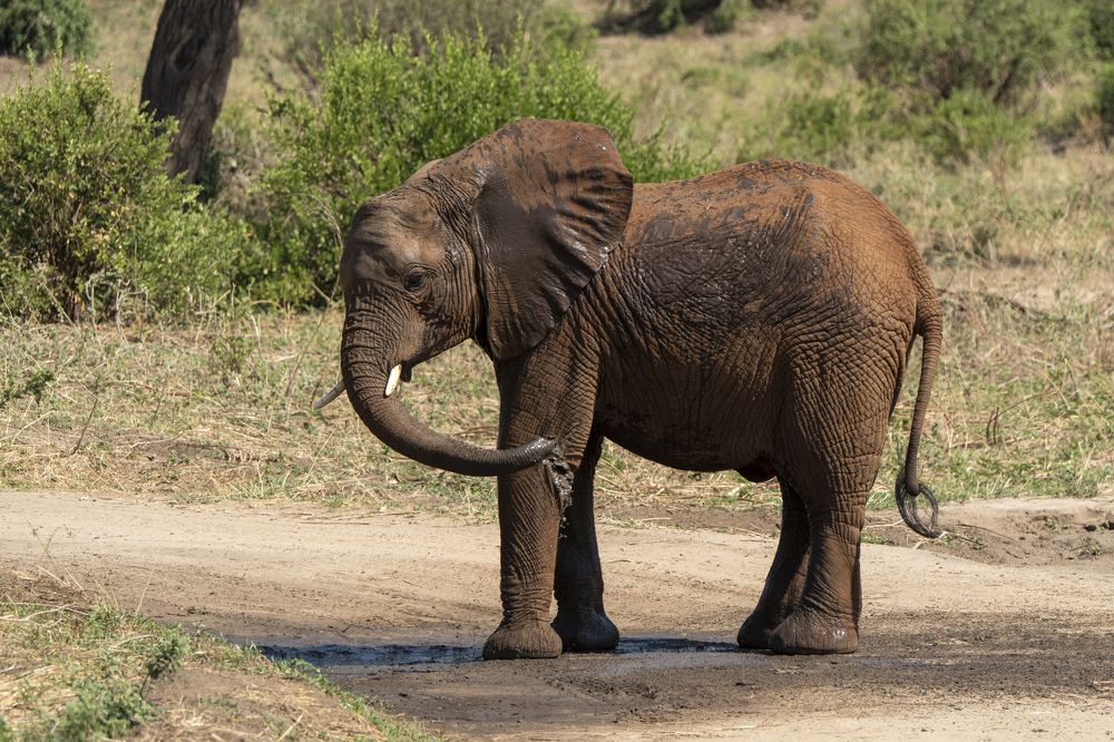 Photograph by Nodar Tvauri