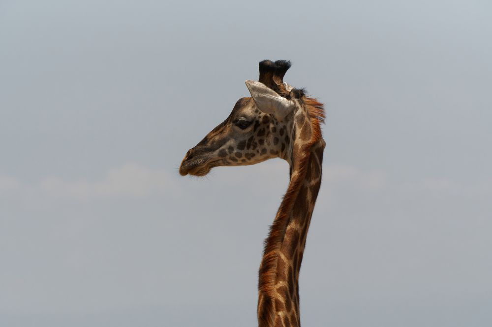 Photograph by Nodar Tvauri