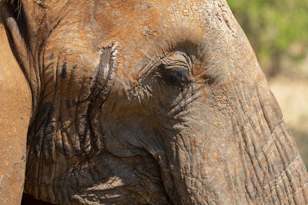 Photograph by Nodar Tvauri