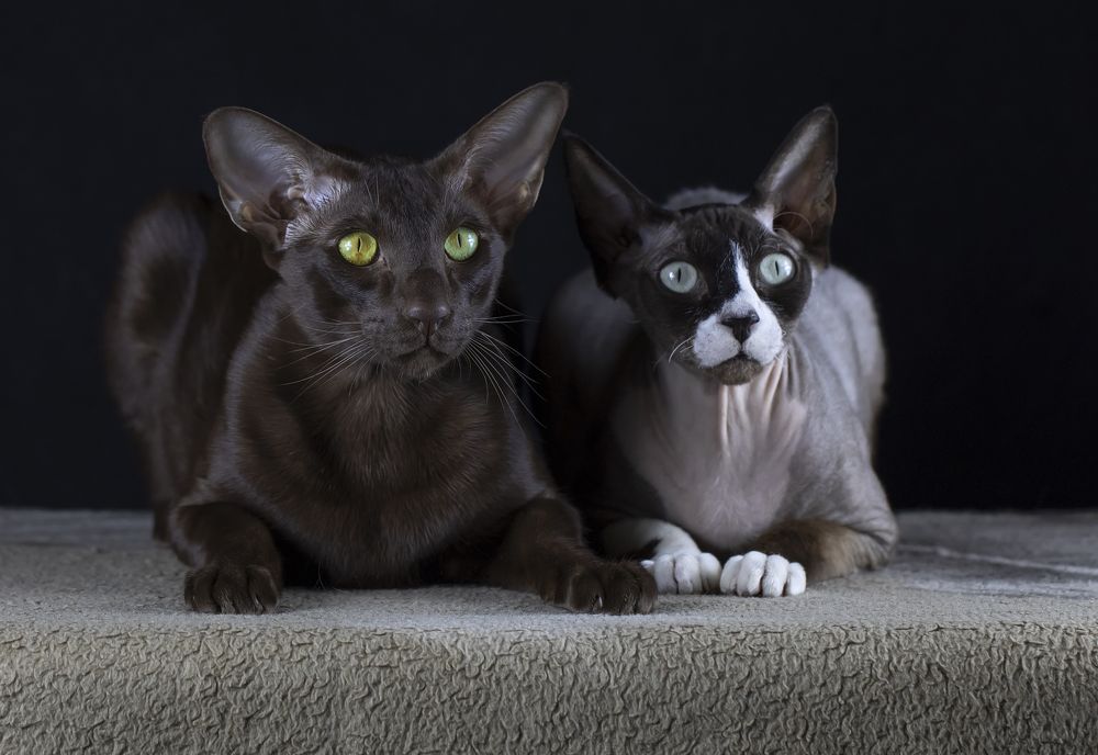 Photograph by Татьяна Феденкова