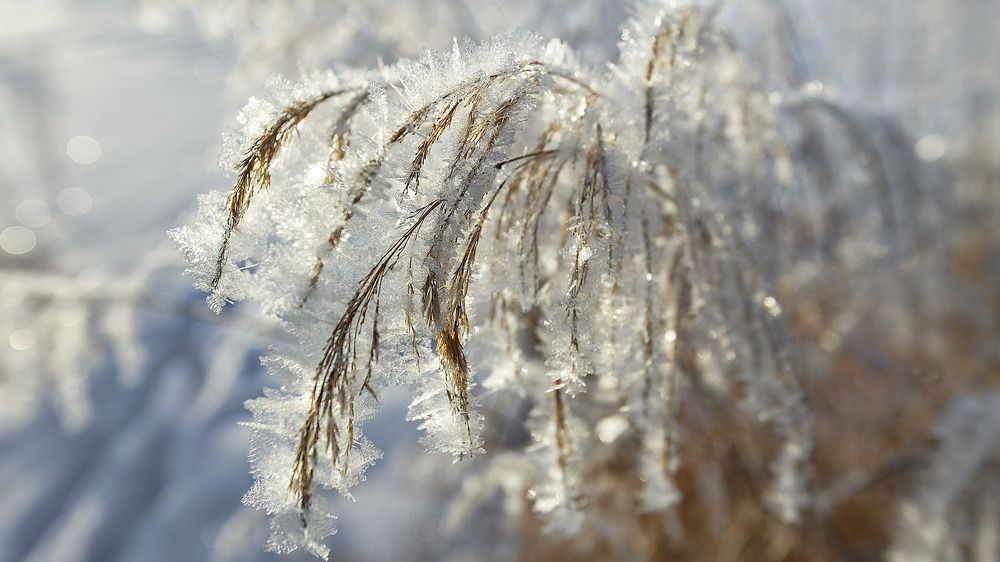 Photograph by Алексей Кулаков