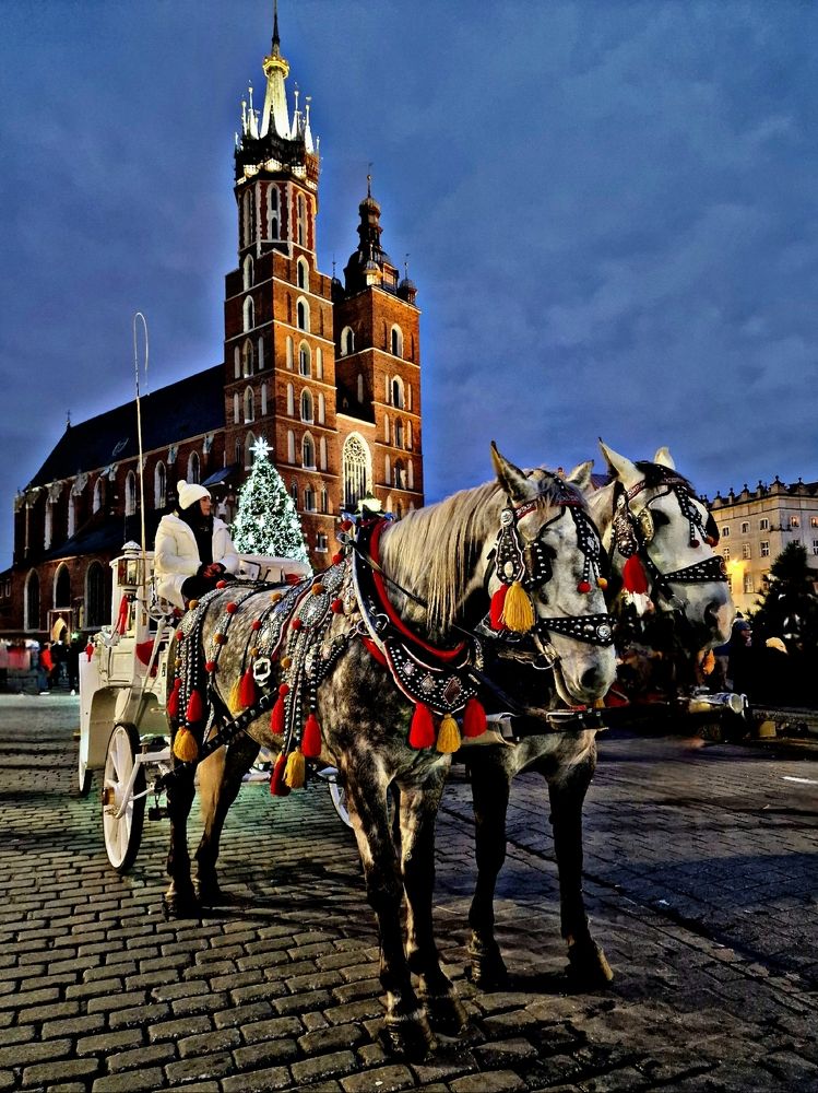 Фотография автора Maryna Pytliak