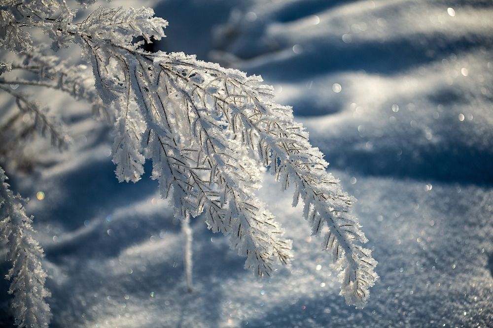 Photograph by Алексей Кулаков