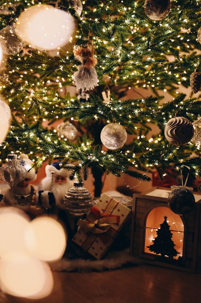 Фотография автора Дарья Дреко